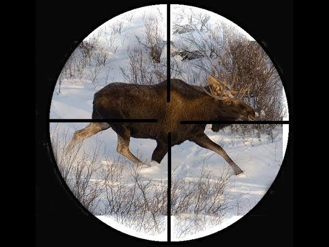 Выбираем прицел 