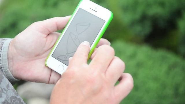 Как подстричь можжевельник. Топиарное искусство. смотреть онлайн
