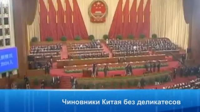 Чиновники Китая больше не едят акульи плавники