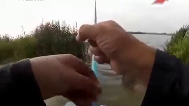 Советы бывалых рыбаков. Насадки на карася смотреть онлайн