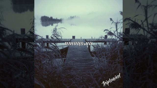 даже - птицами (triplemind Remix)