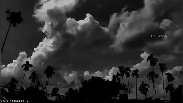 bura bura mak jacha ura love song ❤️❤️❤️❤️♥️♥️ смотреть онлайн