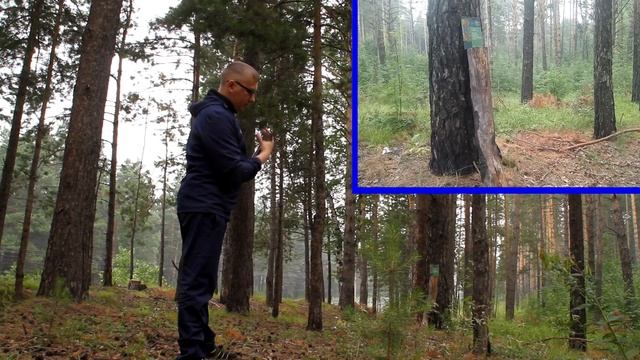 Сравнение мощности духовых трубок смотреть онлайн