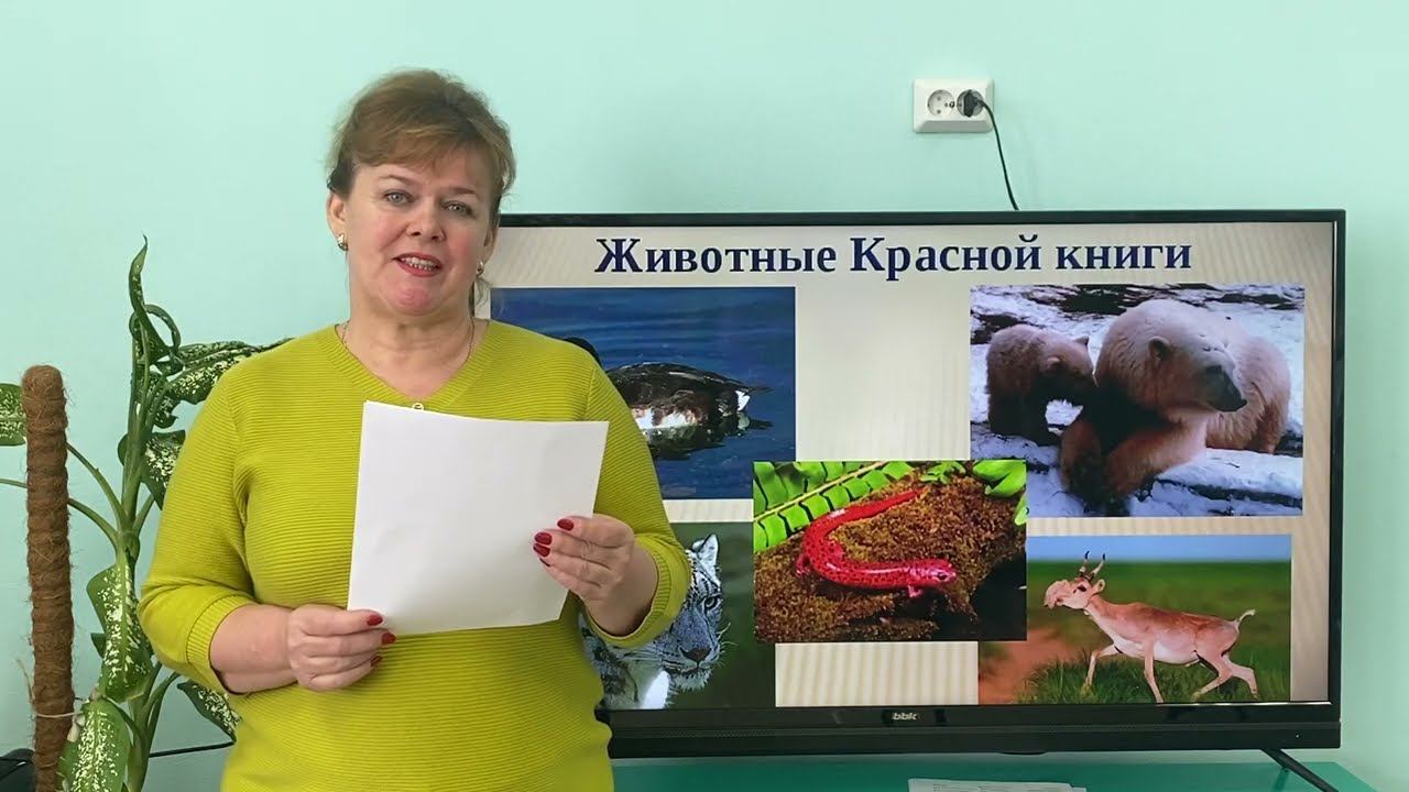 Всемирный день защиты животных смотреть онлайн