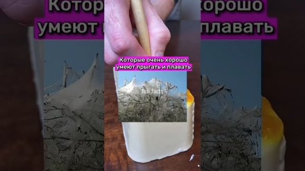Что будет, если много читать?