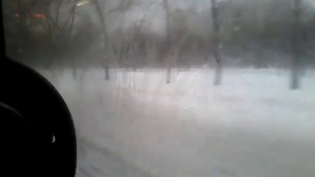 Автобус 39 "Аэропорт Пулково 1-ул. Костюшко". смотреть онлайн