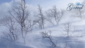 Что такое циркуляция атмосферы, воздушные массы и какими они бывают. Удивительная география.