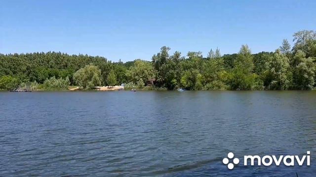 РыБаЛкА на озере с лебедями смотреть онлайн