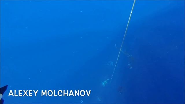 Freediving BLACKOUT Compilation