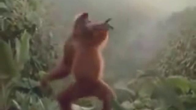 Кто из вас первым засмеялся ?пиши свой ответ! Кто смог так за танцевать? смотреть онлайн