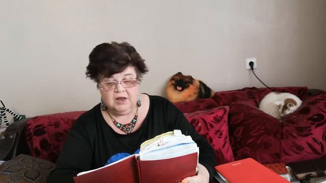 Если муж грязнуля. Разбор полётов. смотреть онлайн