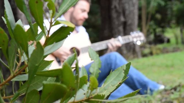 Celtic Guitar - Return to Kintail/Calliope House - Stephen Wake смотреть онлайн
