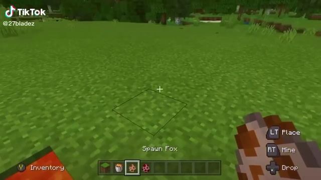 TikTok: Minecraft COMPILATION