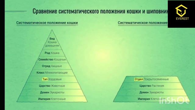 Всего за 7 минут выучим Систематику Зоологии 🔥 #1 смотреть онлайн