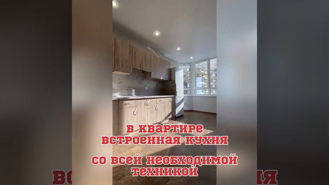 Сдается впервые! Город Ставрополь, ЖК Академический. Звоните: +7(928) 264-70-81 смотреть онлайн