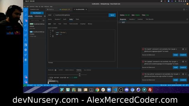 AM Coder - 100 Days of Rust and Go - #21 - Minimalist Web Frameworks #2 (Go Echo & Rust Actix) смотреть онлайн