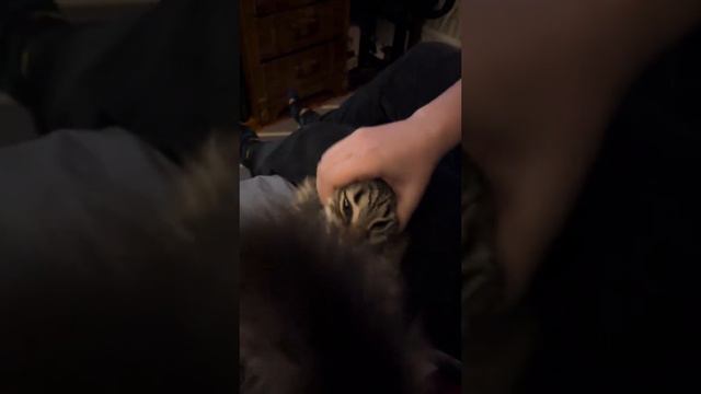 Он хочет твою душу смотреть онлайн