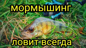 МОРМЫШИНГ ЛОВИТ ВСЕГДА И ВЕЗДЕ !!! ВЕЧЕРНЯЯ РЫБАЛКА НА МОРМЫШИНГ !!!
