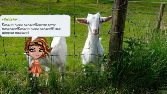 ♥Аватария♥Какали козы :D смотреть онлайн