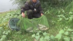 ВОТ ЭТО КЛЕВ ПОСЛЕ ОБЕДА! Рыбалка на ОКЕ! Ловля Леща на САЛО!