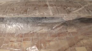 Эксперимент по сушке спилов