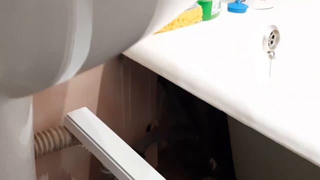 Как поставить вертикальные жалюзи под ванну / How to put vertical blinds under the bath смотреть онлайн