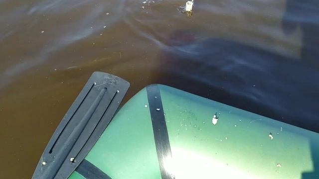 Рыбалка на реке Волхов с лодки. смотреть онлайн