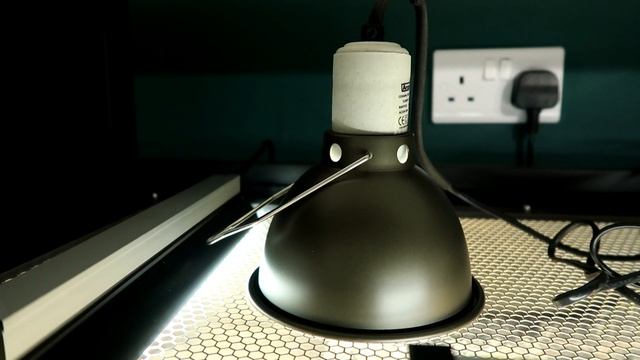 THE BEST, HALOGEN Flood Heat Lamps. Arcadia Reptile смотреть онлайн