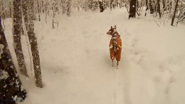 Опять накрыло. Winter vs Spring смотреть онлайн