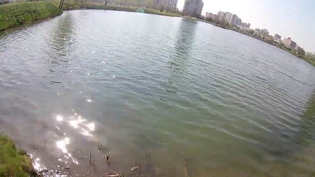 открыл сезон 2021 13.05 шнурок на Tsyuoki Watson 110sp Санкт-Петербург смотреть онлайн