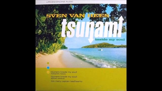 sven van hees tsunami inside my soul смотреть онлайн