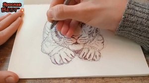 Как нарисовать ТИГРА ?