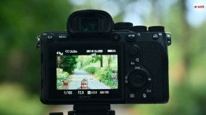 Обзор Sony A7R IV. Средний формат не нужен?