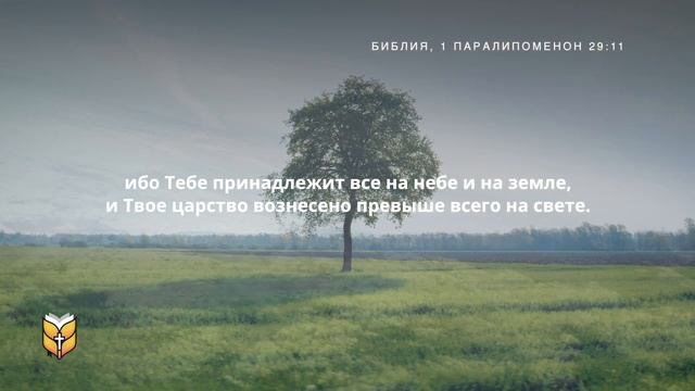 Памятные стихи из Библии. Современный перевод Библии #biblevision смотреть онлайн