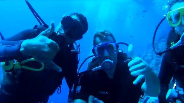 Reef oasis dive club смотреть онлайн