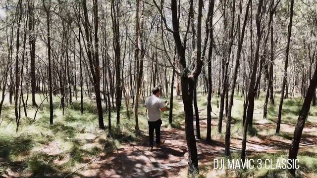 EPIC ActiveTrack Test 🎯 With DJI Mavic 3 Classic + Tree Collision 🌲💥 | DansTube.TV