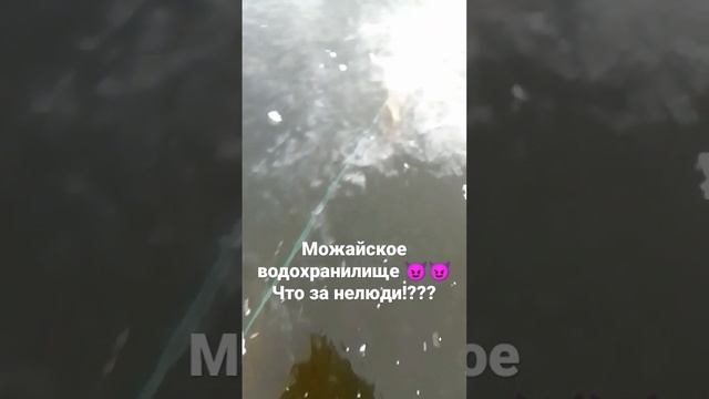 Рыбалка Можайское водохранилище #зимняярыбалка#можайское водохранилище #рыбалка #отдых смотреть онлайн