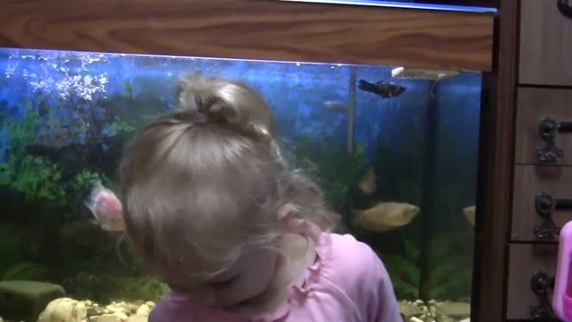 Стихи про мишку смотреть онлайн