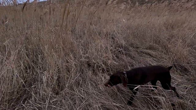 Ейск - борьба с мусором на берегу! Таганрогский залив. Наводим порядок на берегу. смотреть онлайн