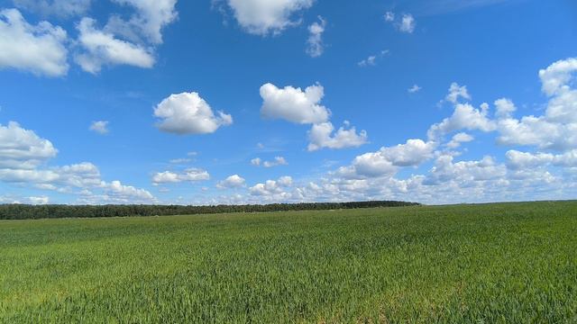 Поле. ч.3. Июль 2024 смотреть онлайн