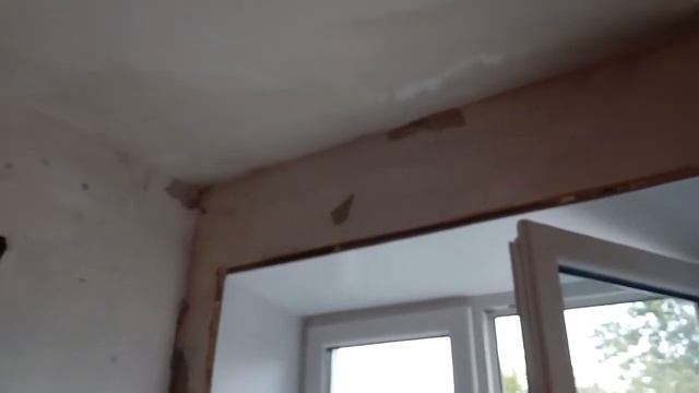 Как удалить плесень (грибок) смотреть онлайн