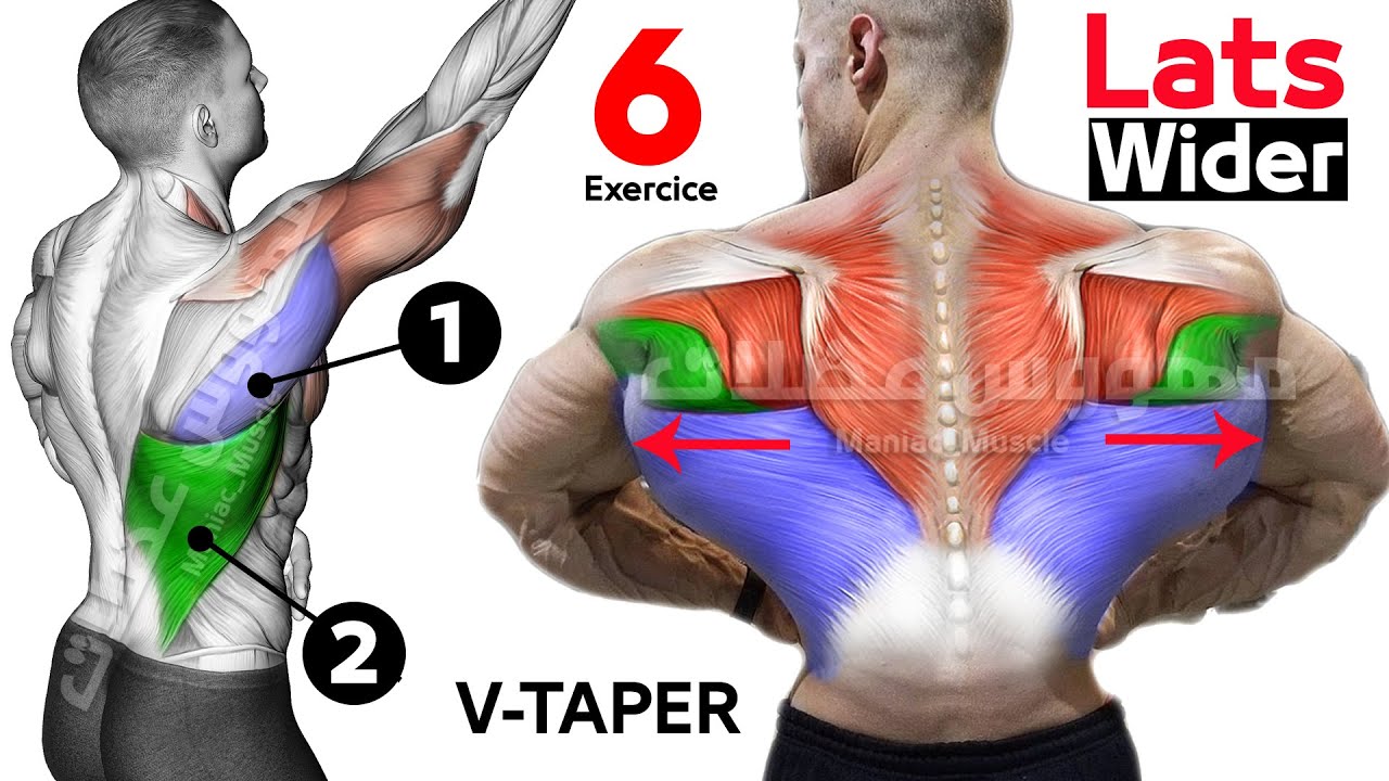 УПРАЖНЕНИЯ ДЛЯ РАЗВИТИЯ НИЖНИХ ШИРОТ смотреть онлайн