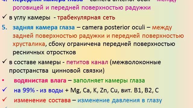 Сенсорные системы смотреть онлайн
