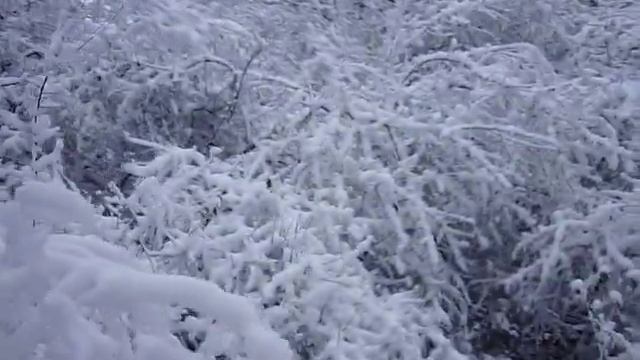 Колдовской иней (3)