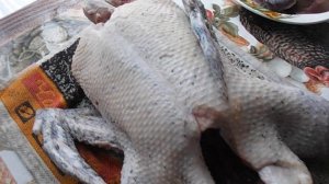 Утки башкирской породы.. Забой и вес утки в 60 дней.