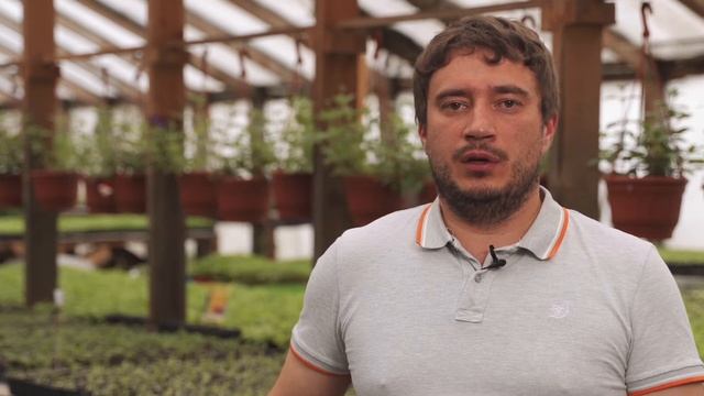 Всё о том, как защитить растения от трипса// Кенгуру смотреть онлайн