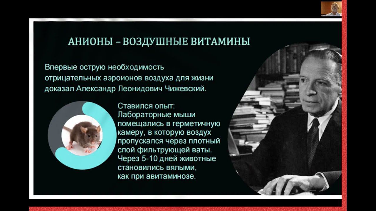 Что такое Анионы? Польза для здоровья человека смотреть онлайн