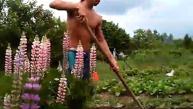 Дача вена флоксы смотреть онлайн