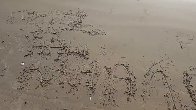 VLOG БАЛТИЙСКИЙ БЕРЕГ Серия 58 Черновы ТВ смотреть онлайн