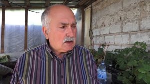 Весенний виноградник Геннадия Зубалевича.